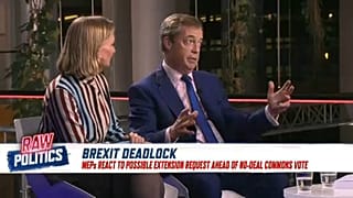 MEPs react to possible extension of Brexit deadline | Raw Politics