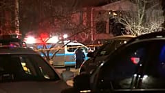 Εκτέλεσαν τον αρχιμαφιόζο της Νέας Υόρκης 