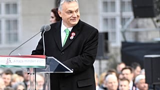 Lengyel résztvevők az 1848-es forradalom emléknapján, az állami ünnepségen