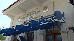Antalya Deniz Biyoloji Müzesi 