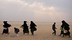 Families from the Islamic State Caliphate surrender in Syria.