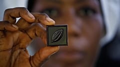 This organic chocolate is made by hand... and feet