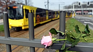 Утрехт приходит в себя