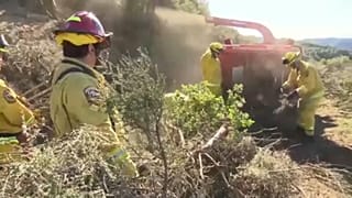Kalifornia: enyhíthető-e a bozóttűz okozta kár?