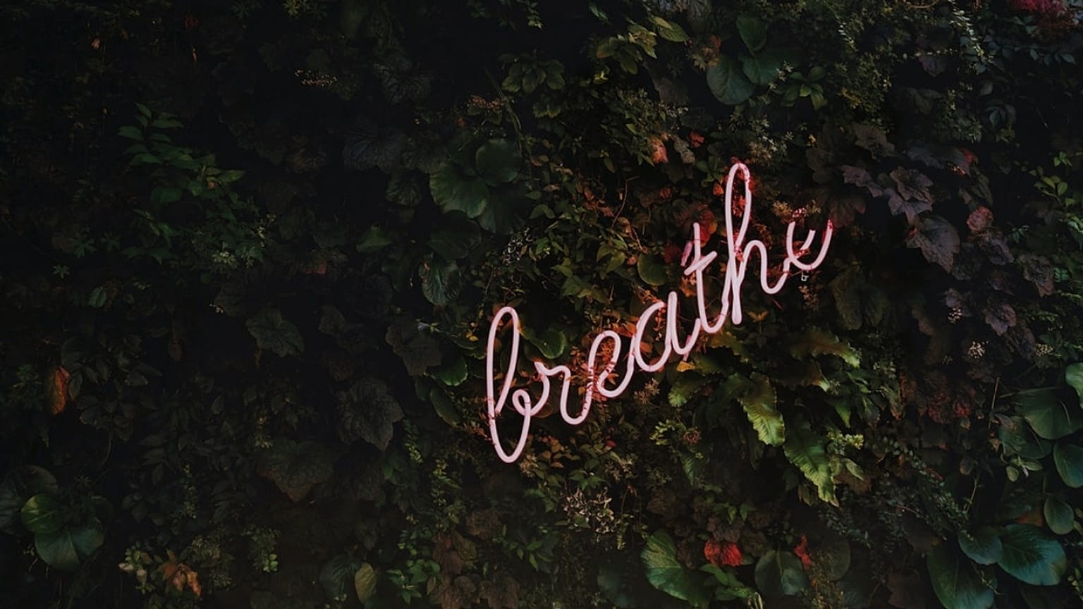 How to Breathe Yourself Happy?