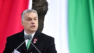 Членство партии "Фидес" в ЕНП приостановлено