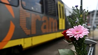 Utrecht saldırısı zanlısı Gökmen Tanış 'terör' suçundan yargılanacak