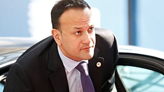 Ireland may have to hold referendum to decide on UK participation in Euro elections: Varadkar