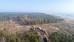 Skowronki, Polanya