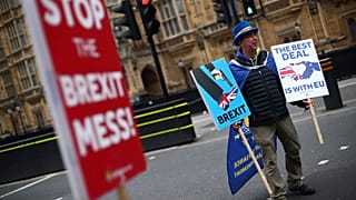 Manifestante anti Brexit frente al Parlamento británico. 20 de marzo, 2019.