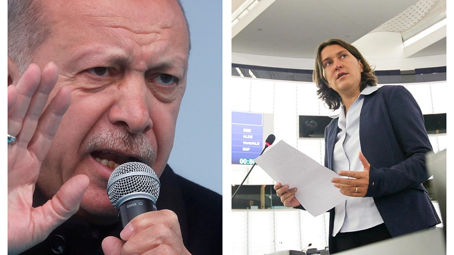 İslam düşmanlığı ile suçlanan AP Türkiye raportöründen Erdoğan'a cevap 