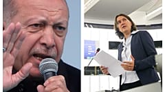 İslam düşmanlığı ile suçlanan AP Türkiye raportöründen Erdoğan'a cevap 