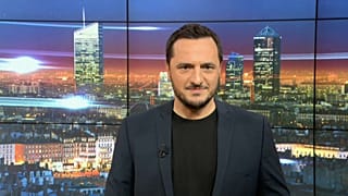 Euronews am Abend mit Viktor Sammain: Brexit, Proteste & Schweinswale
