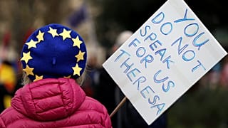 Anti-Brexit protesters demonstrate outside the Houses of Parliament