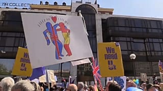 "Detengan esta locura", la súplica de los británicos en España