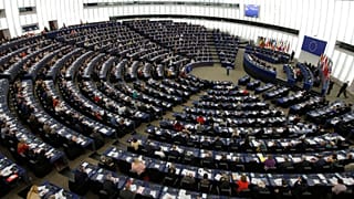 EP-választás bejuthat a Momentum