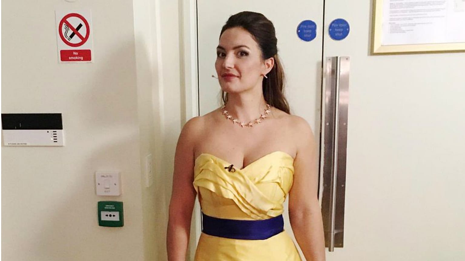Opera singer asked to change 'provocative' pro-EU dress for London performance
