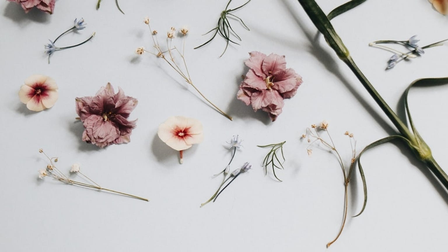 The perfume industry is moving towards sustainable fragrances
