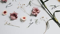 The perfume industry is moving towards sustainable fragrances