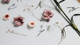 The perfume industry is moving towards sustainable fragrances
