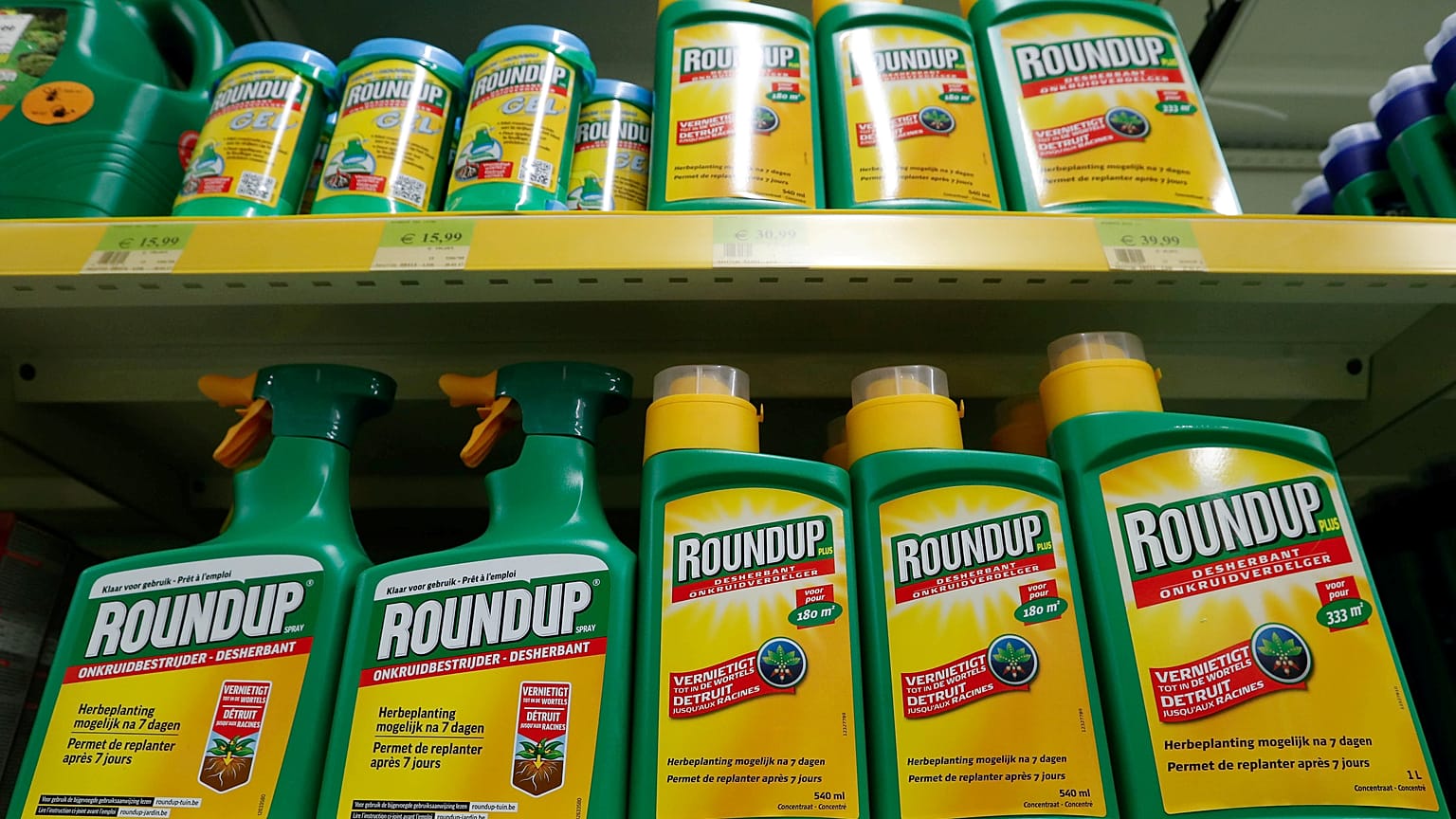 Nuevo varapalo judicial para Monsanto: deberá pagar 80 millones a un jubilado enfermo de cáncer