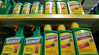Nuevo varapalo judicial para Monsanto: deberá pagar 80 millones a un jubilado enfermo de cáncer