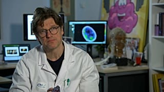 Le "reti" della coscienza