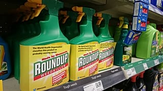 Tarım ilacı üreticisi Monsanto'ya kansere sebep olduğu gerekçesiyle 80 milyon dolar ceza