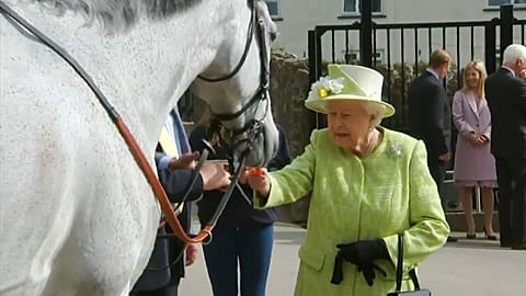 Queen Elizabeth indulges her love of horseracing 