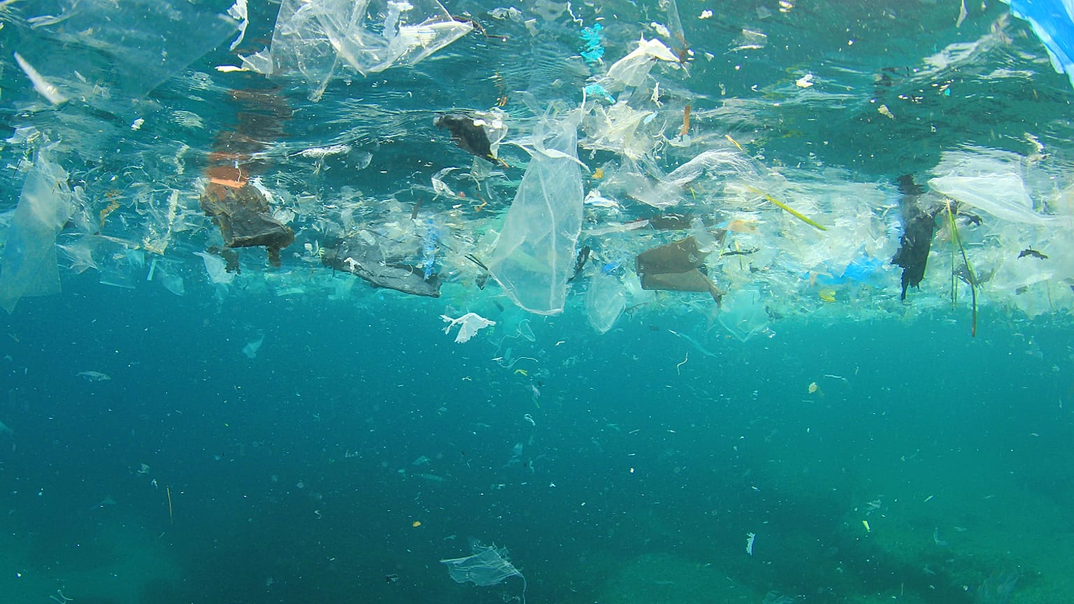 Avrupa 2021 yılından itibaren tek kullanımlık plastik ürünleri yasaklıyor