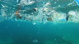 Avrupa 2021 yılından itibaren tek kullanımlık plastik ürünleri yasaklıyor