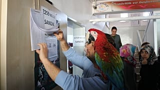 Fotoğraflarla 31 Mart yerel seçimleri 