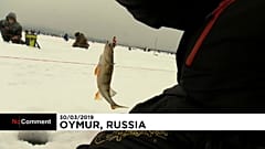 Russia: gara di pesca sul lago ghiacciato