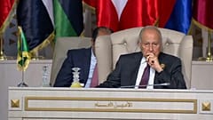 أبو الغيط