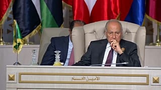 أبو الغيط