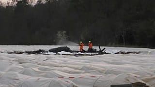 Flugabsturz bei Erzhausen: Russische Millionärin getötet