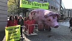 Демонстрация против промышленных ферм
