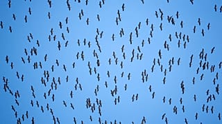 EU-Mobilität - für viele Länder ein Problem