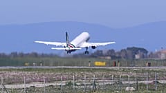 Ущерб от эмиграции. На юбилей НАТО. Волю свиньям
