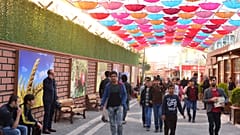 Şanlıurfa-Suruç ilçesi