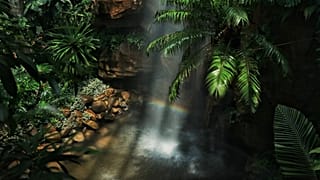 Harnessing the power of Amazonian plants in beauty