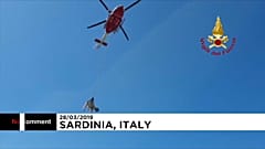 "Летающая" корова на Сардинии