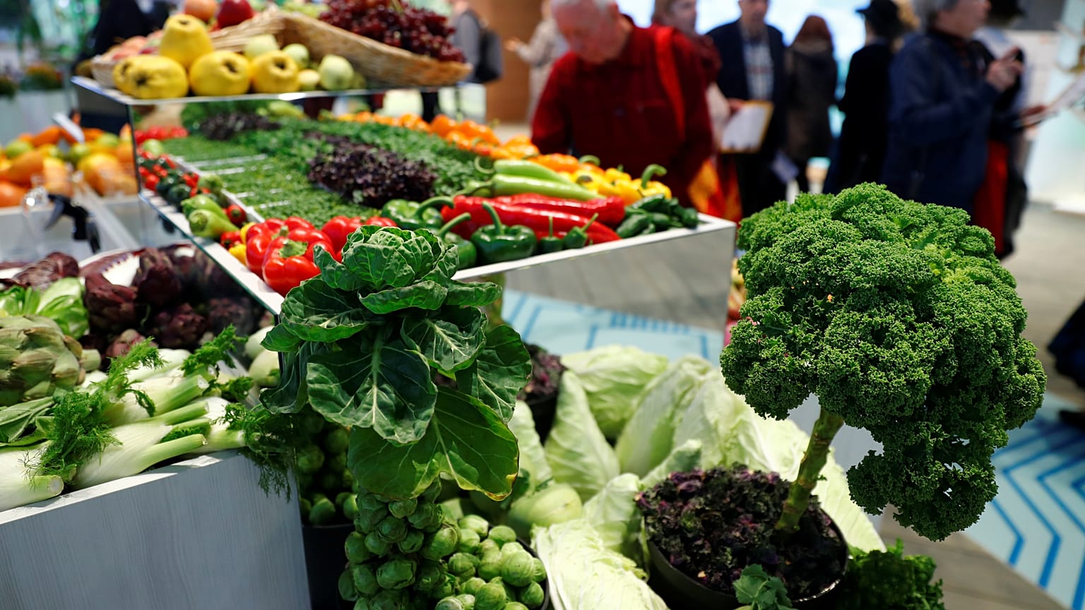 EU fruit and vegetable consumption: how much does your country eat?