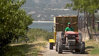 Οι βάσεις της νέας Κοινής Αγροτικής Πολιτικής