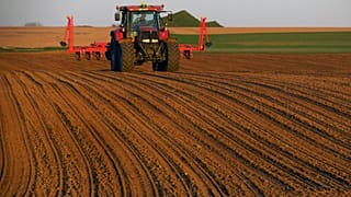 EU-Agrarreform: Mehr Geld für Kleinbauern