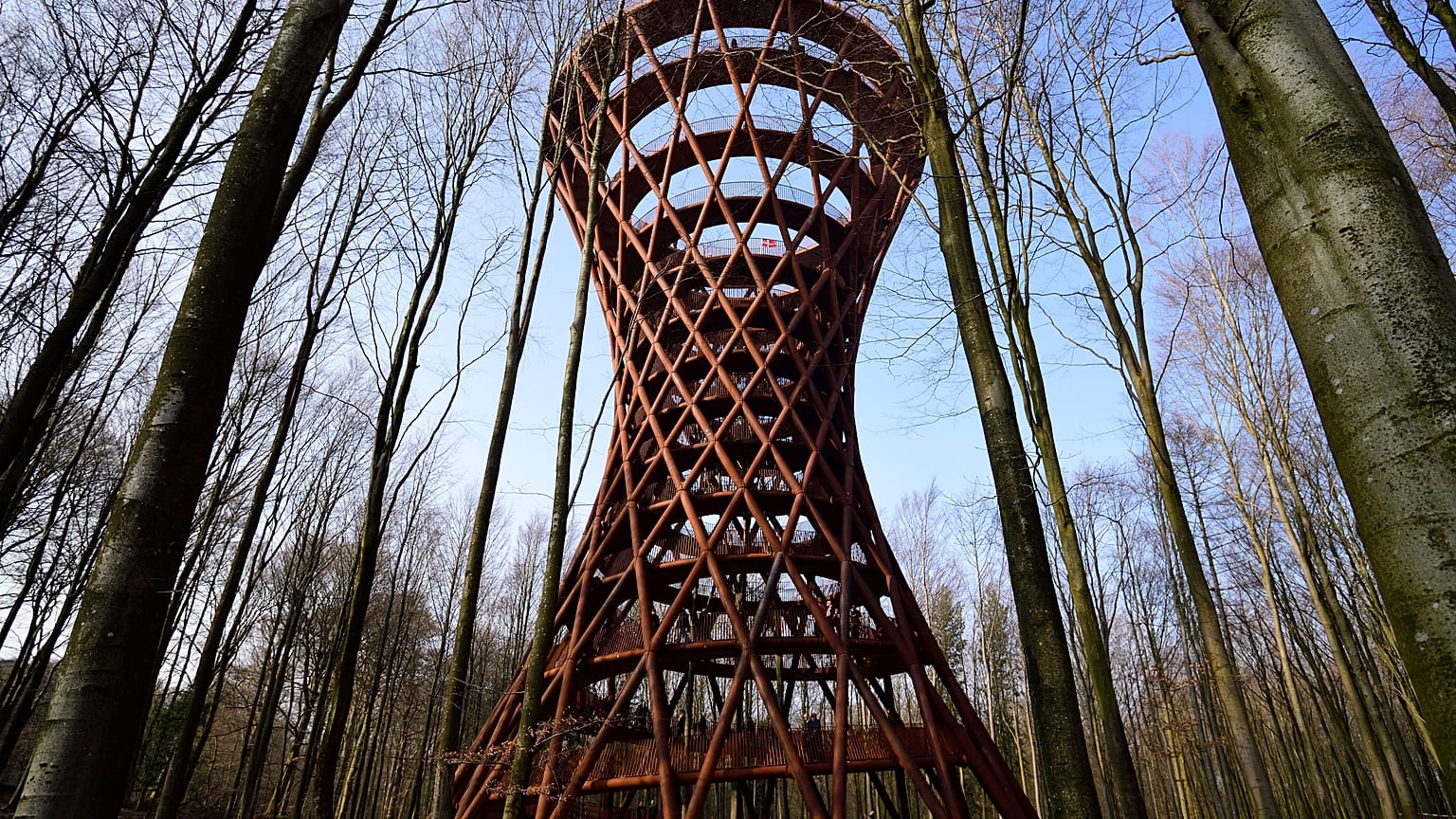 Dinamarca inaugura su torre 'eco-friendly' de 45 metros de altura en medio de un bosque