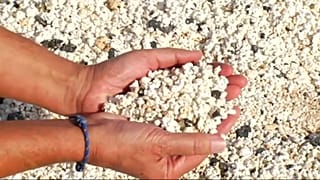 Ataque ambiental na "Praia da Pipoca"