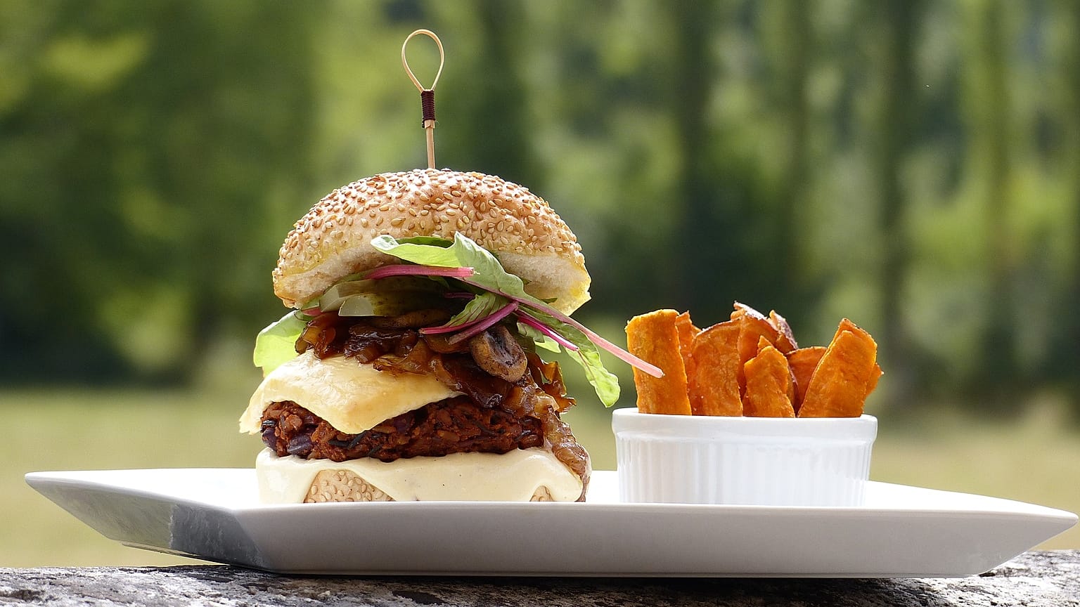 Fancy a veggie disc? MEPs back burger ban for plant-based foods