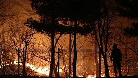 Kore'de Kış Olimpiyatları'nın yapıldığı bölgede alevler 250 hektarlık alanı küle çevirdi
