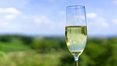 New study finds no evidence of moderate drinking benefits